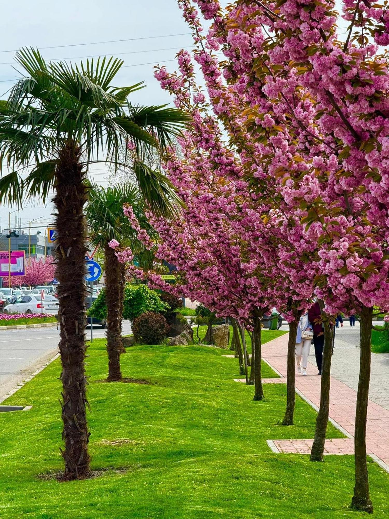 Crystal & Parkland Uzhhorod